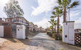 Soles del lago